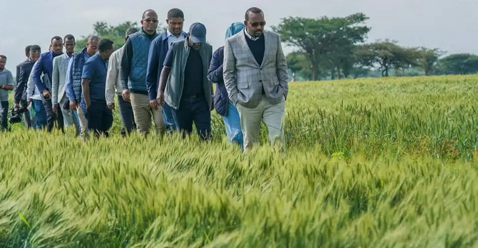 የመደመር እሳቤ እና የኢትዮጵያ አዲሱ የልማትና የስልጣኔ ምዕራፍ