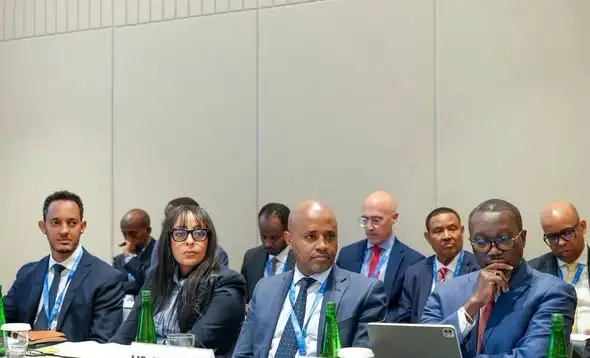 አፍሪካ በሰው ሠራሽ አስተውሎት የእሴት ሰንሰለት ውስጥ ንቁ ተሳታፊ መሆን አለባት፦ የገንዘብ ሚኒስቴር