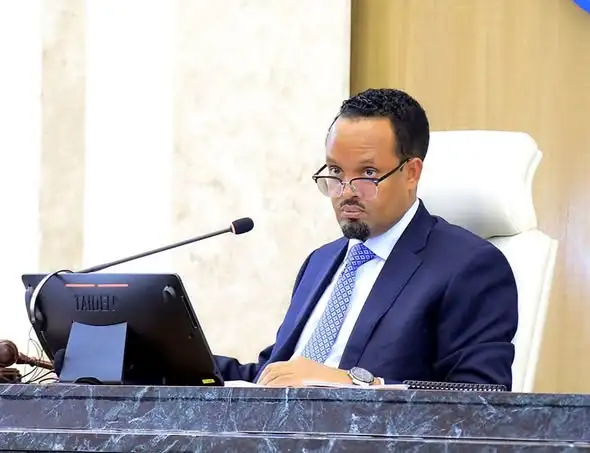 የምክር ቤት ሥራዎችን ለማሳለጥ የሚያግዝ አማካሪ ኮሚቴ ተሰየመ