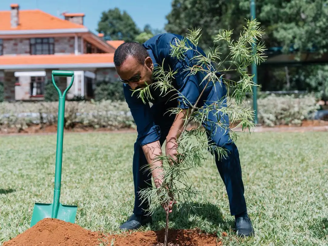 ጠቅላይ ሚኒስትር ዐቢይ አሕመድ (ዶ/ር) በኤልዶሬት ቤተመንግስት አረንጓዴ ዐሻራቸውን አኑረዋል