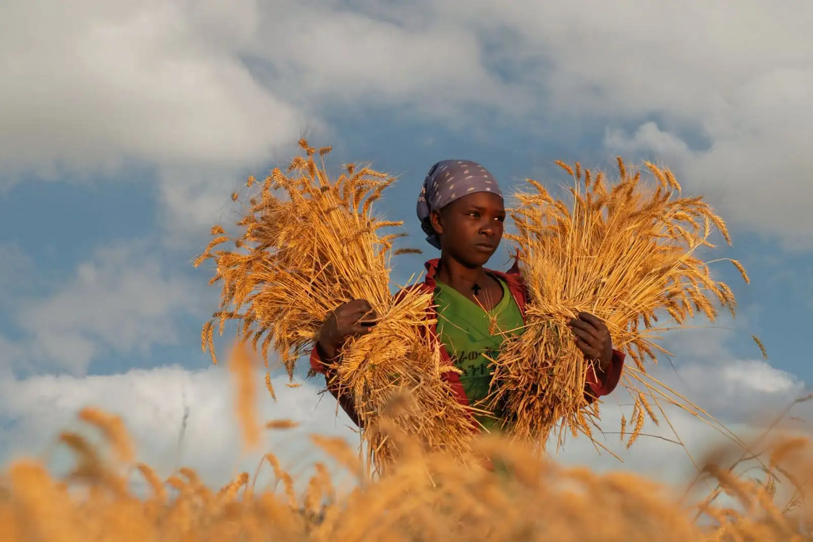የግብርና ትራንስፎርሜሽን፡- የዜጎችን ሕይወት የመቀየር ሀገራዊ አቅም