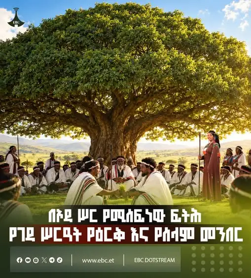 በኦዳ ሥር የሚሰፍነው ፍትሕ፦ የገዳ ሥርዓት የዕርቅ እና የሰላም መንበር