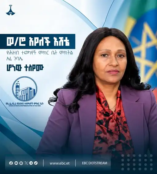 ወ/ሮ አየለች እሸቴ የሕዝብ ተወካዮች ምክር ቤት ምክትል አፈ ጉባኤ ሆነው ተሰየሙ