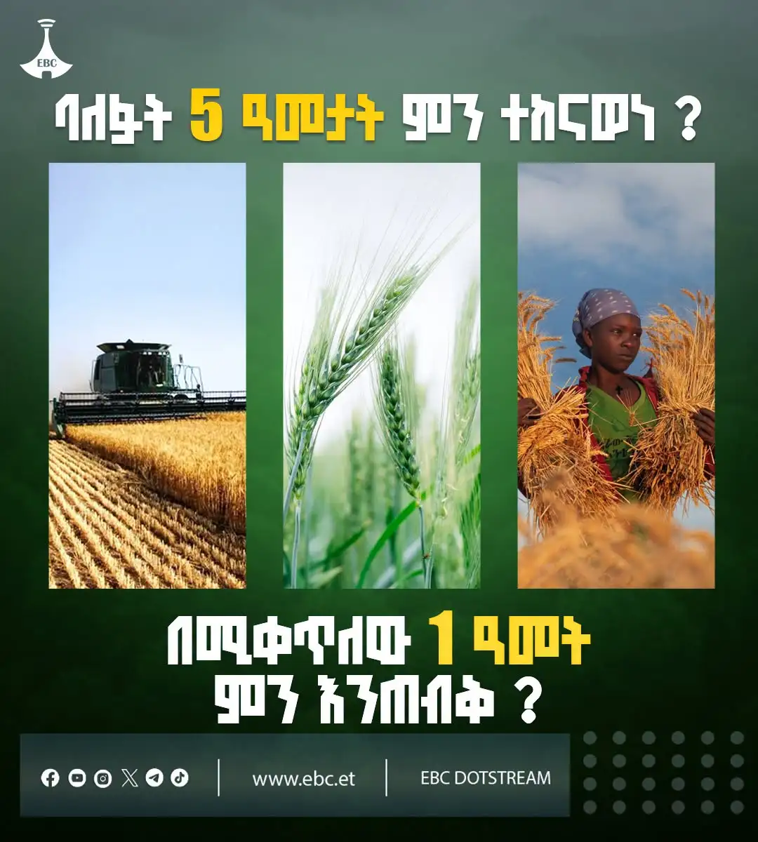 የምግብ ዋስትና እና ብሔራዊ ክብር፡ የግብርናው ዘርፍ የተጓዘበት የድል መንገድ