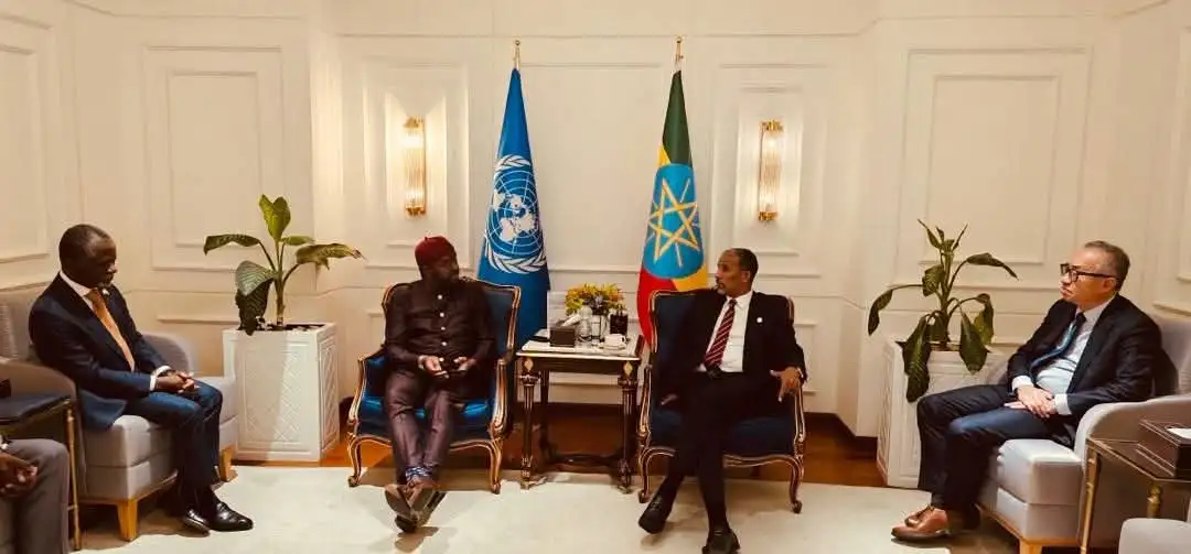 Ethiopia Urges UN to Condemn “Flagrant” Eritrean Military Aggression