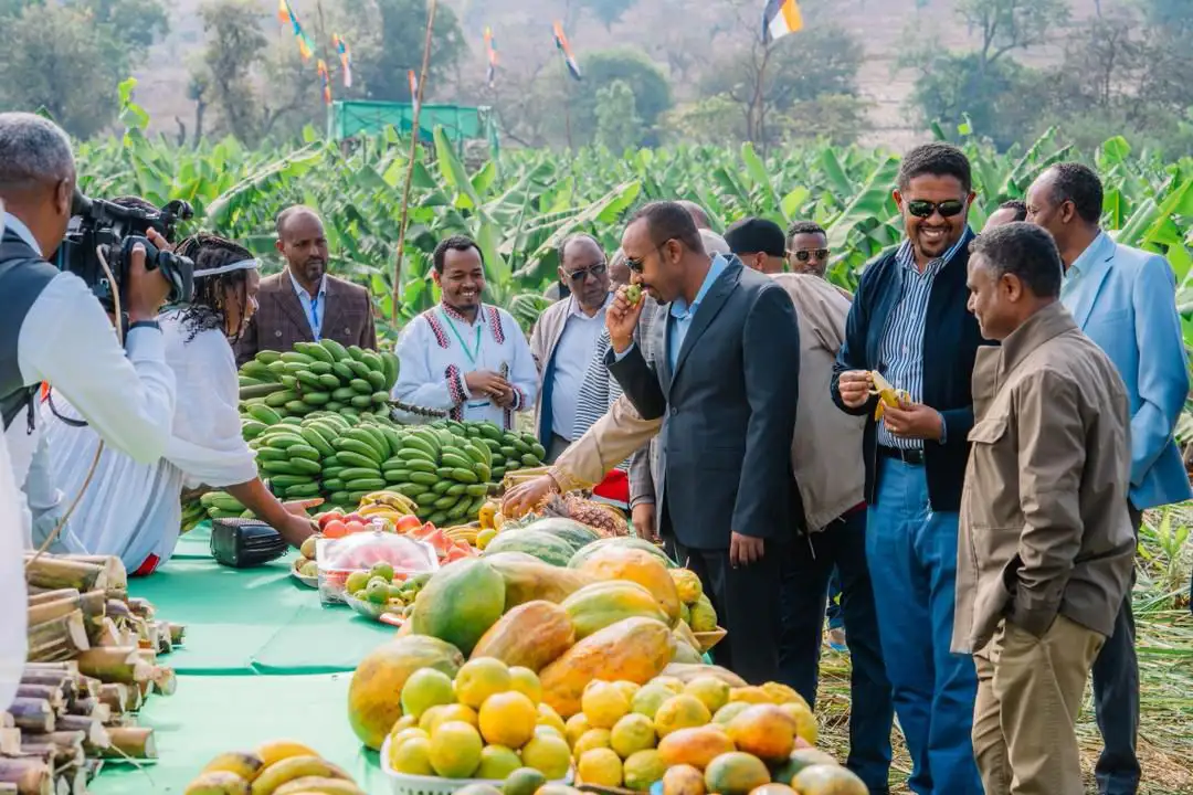 PM Abiy Ahmed Applauds Agricultural Transformation in Kelem Welega