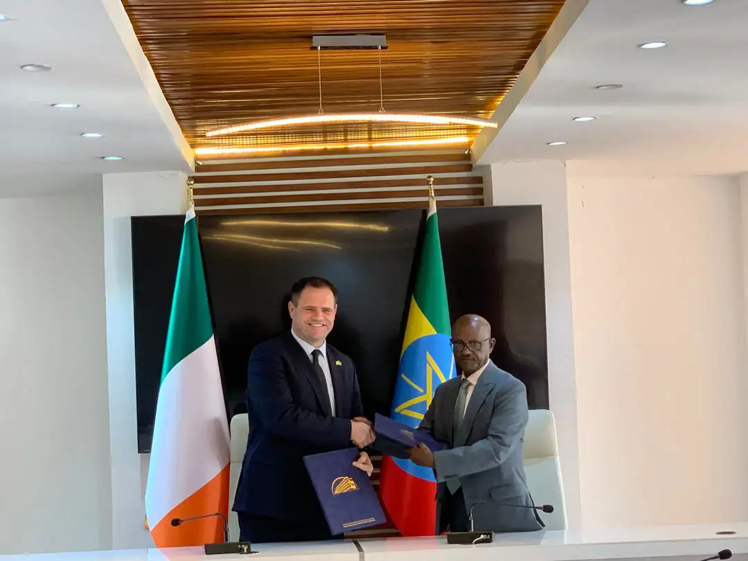 The Importance of Sleep: Tips for Better Rest and Recovery