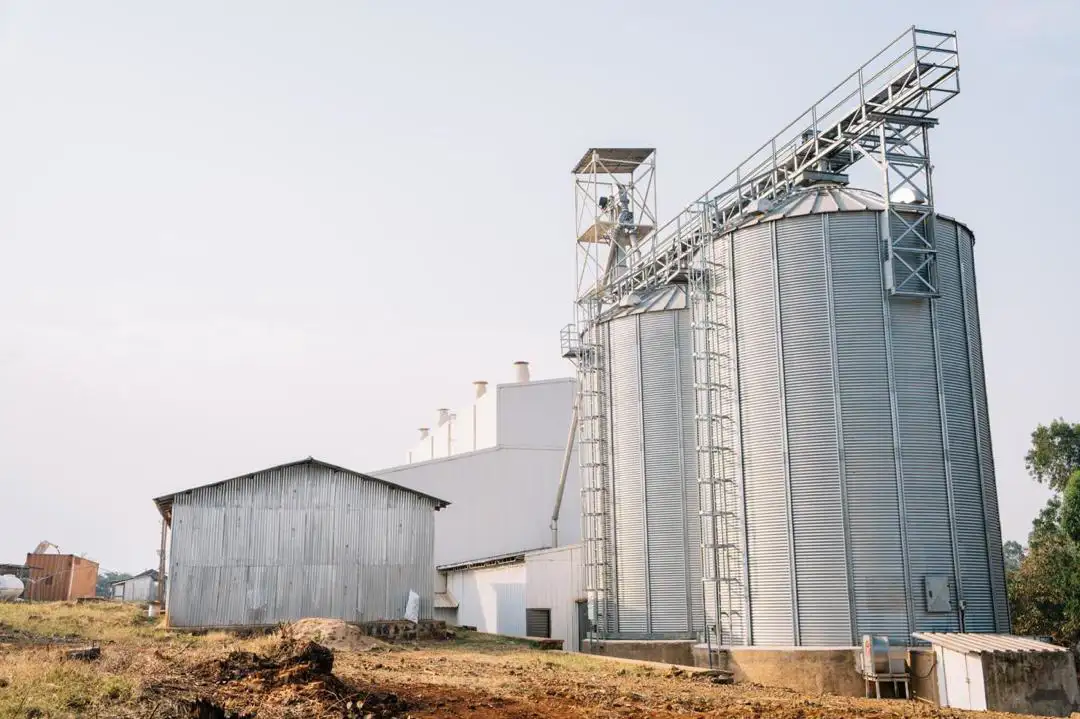 The Importance of Sleep: Tips for Better Rest and Recovery