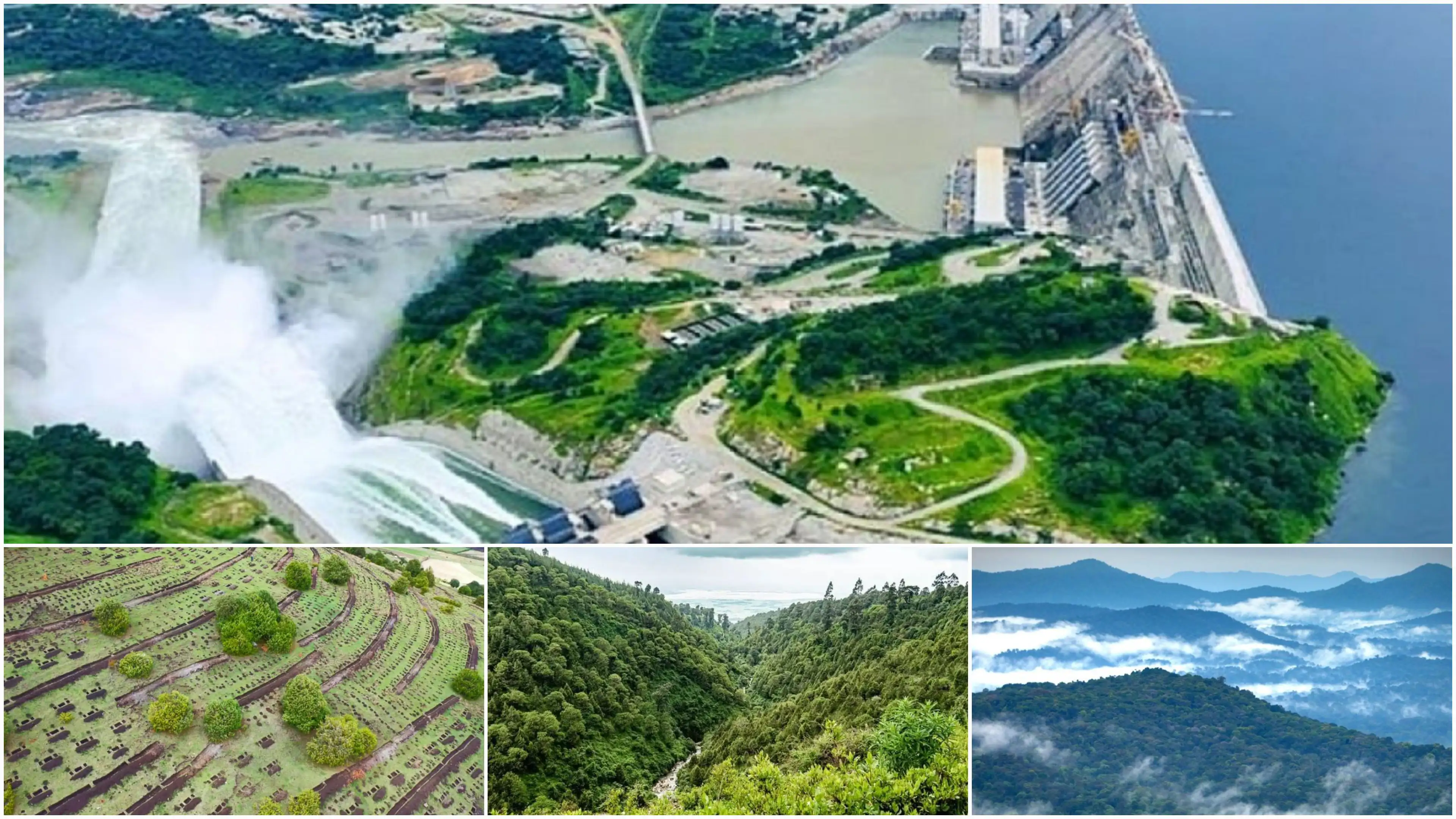 The Importance of Sleep: Tips for Better Rest and Recovery