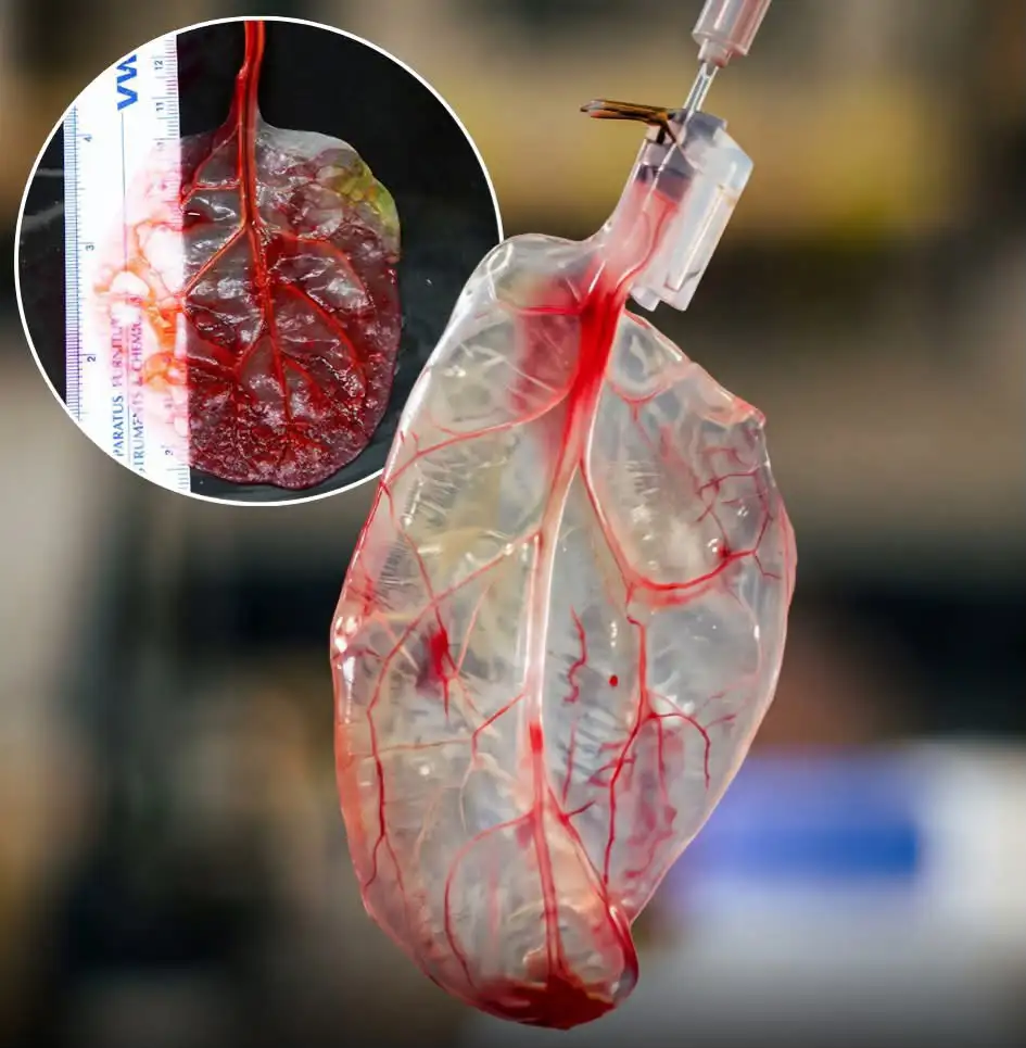 The Importance of Sleep: Tips for Better Rest and Recovery