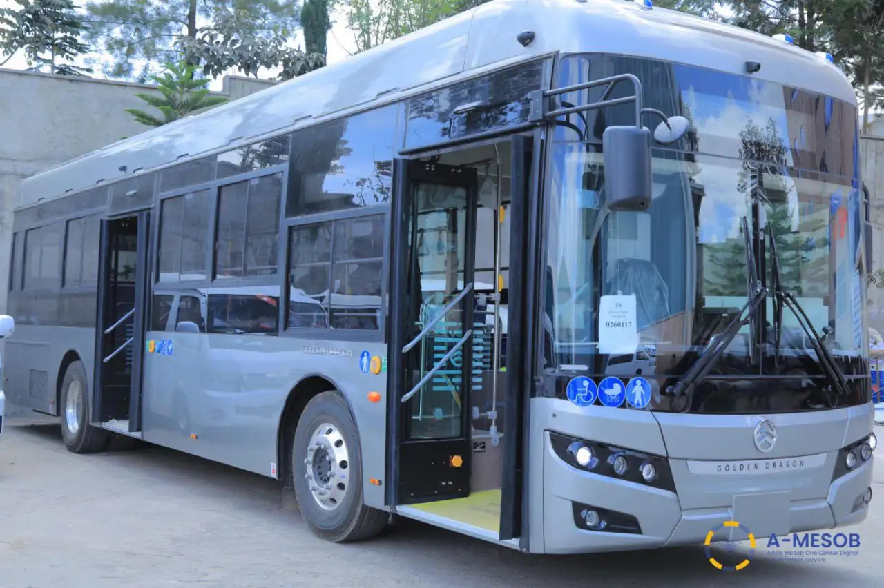 The Importance of Sleep: Tips for Better Rest and Recovery