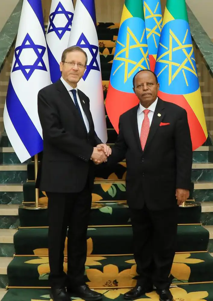 The Importance of Sleep: Tips for Better Rest and Recovery