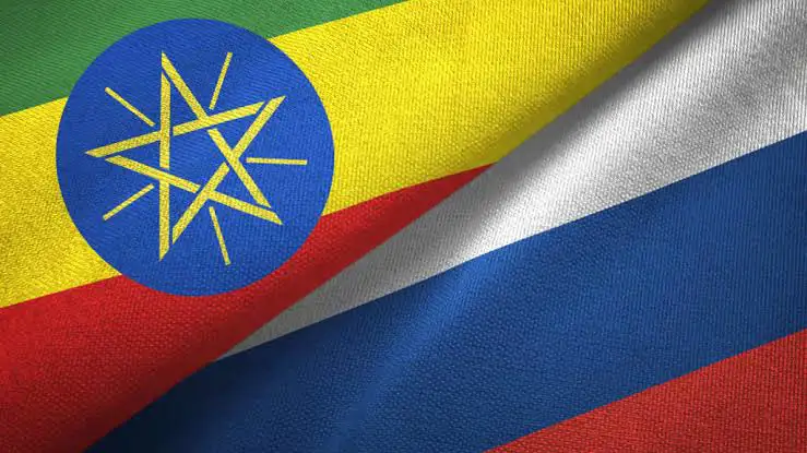 The Importance of Sleep: Tips for Better Rest and Recovery