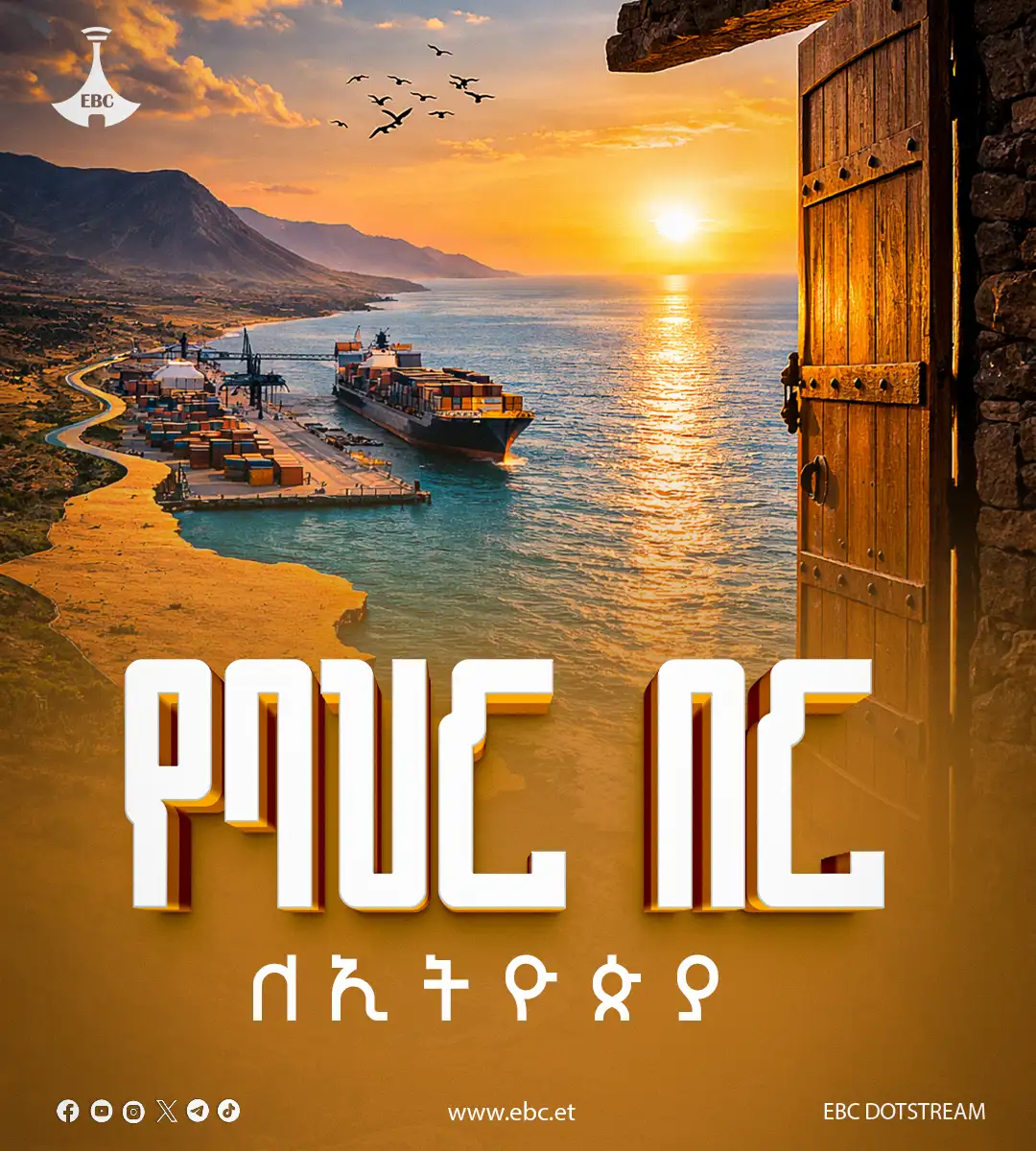 The Importance of Sleep: Tips for Better Rest and Recovery