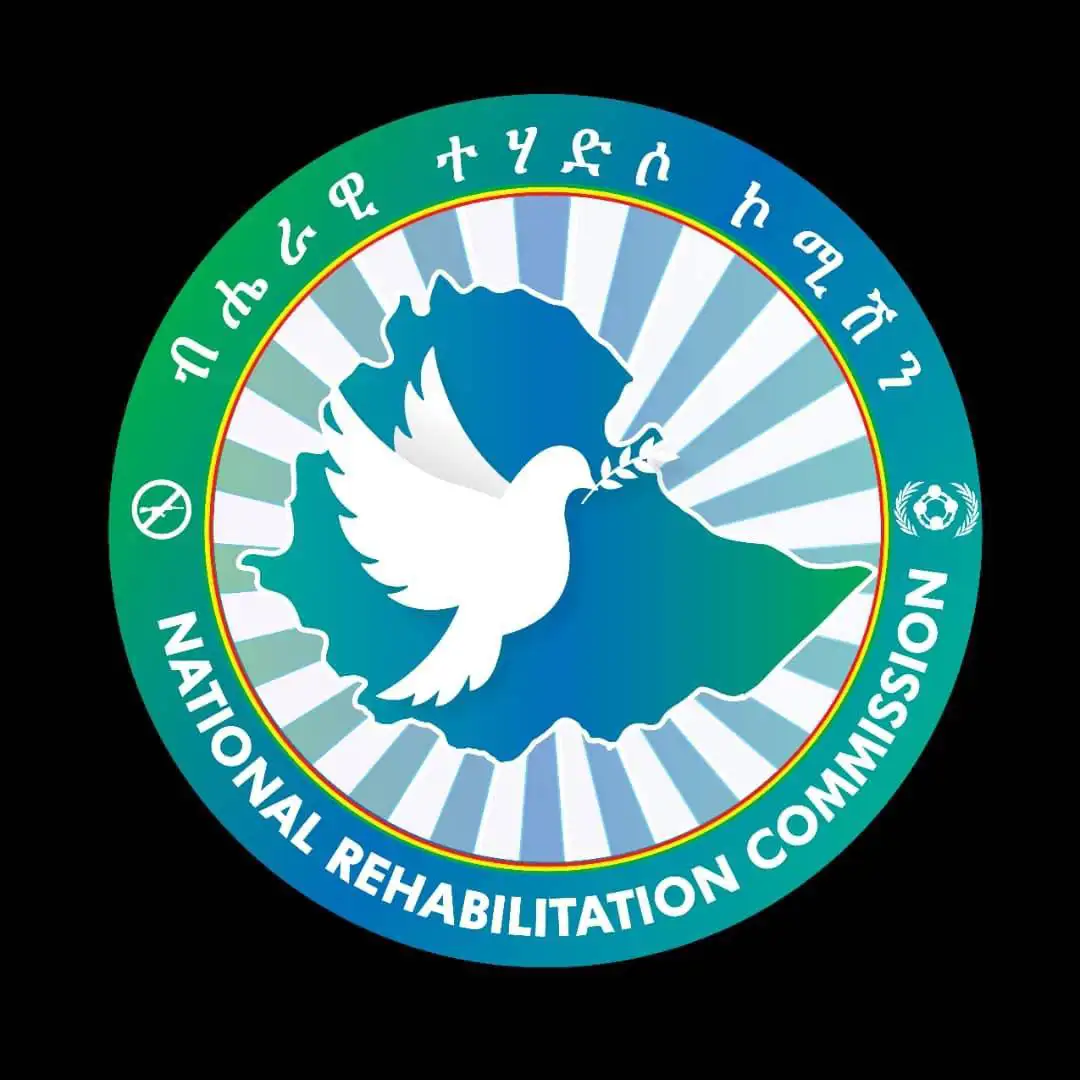 The Importance of Sleep: Tips for Better Rest and Recovery