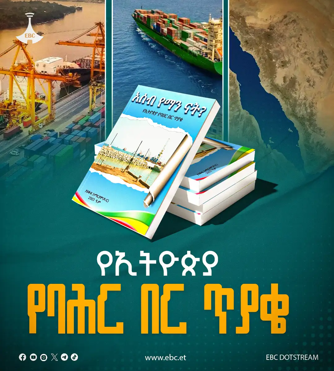 The Importance of Sleep: Tips for Better Rest and Recovery