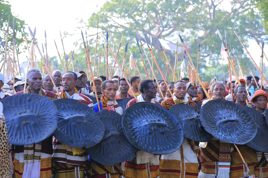 The Importance of Sleep: Tips for Better Rest and Recovery