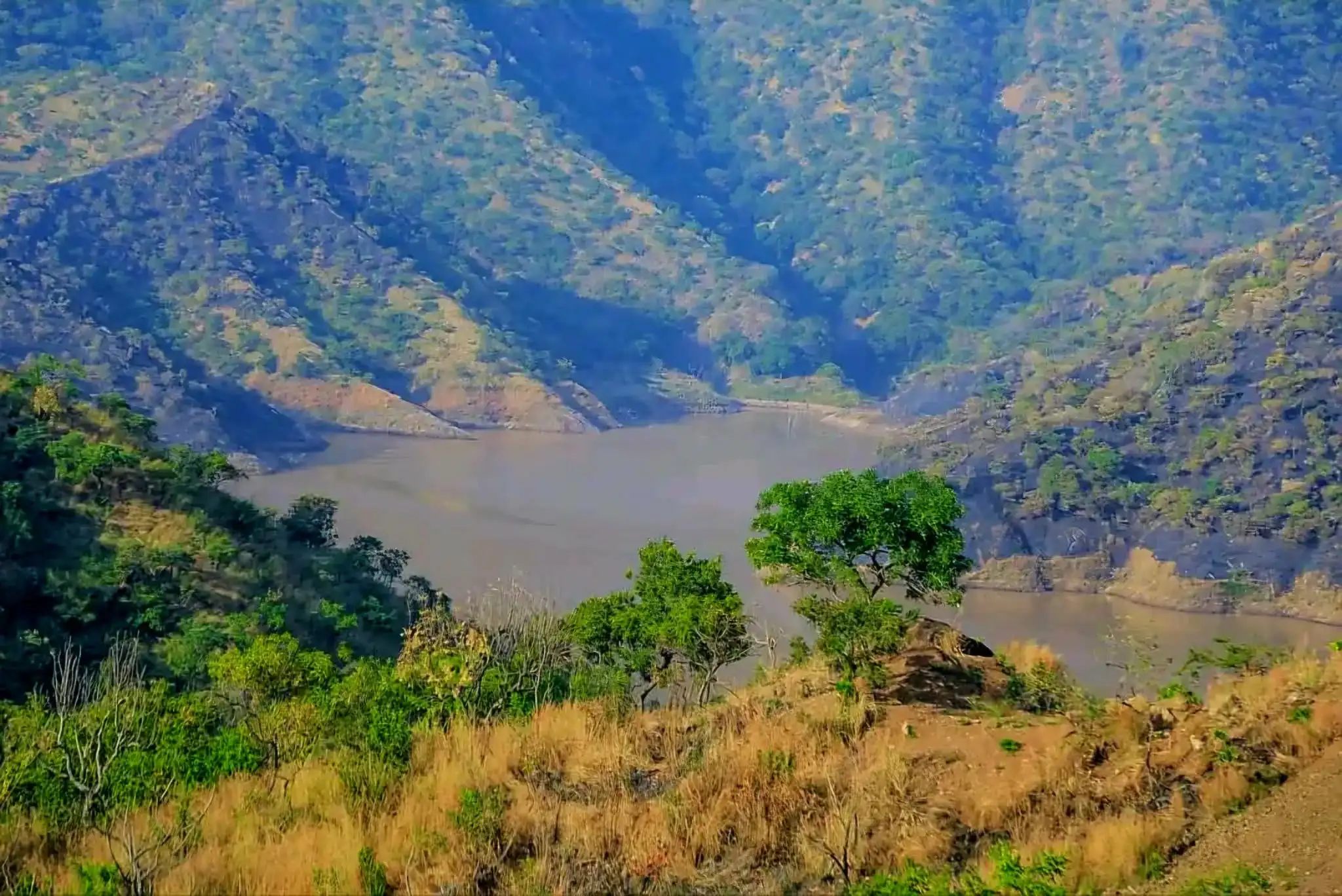 The Importance of Sleep: Tips for Better Rest and Recovery