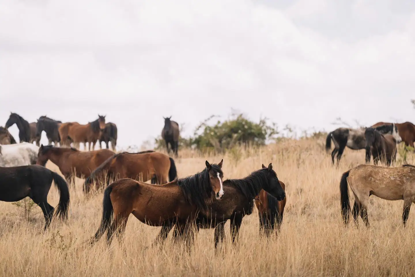 The Importance of Sleep: Tips for Better Rest and Recovery
