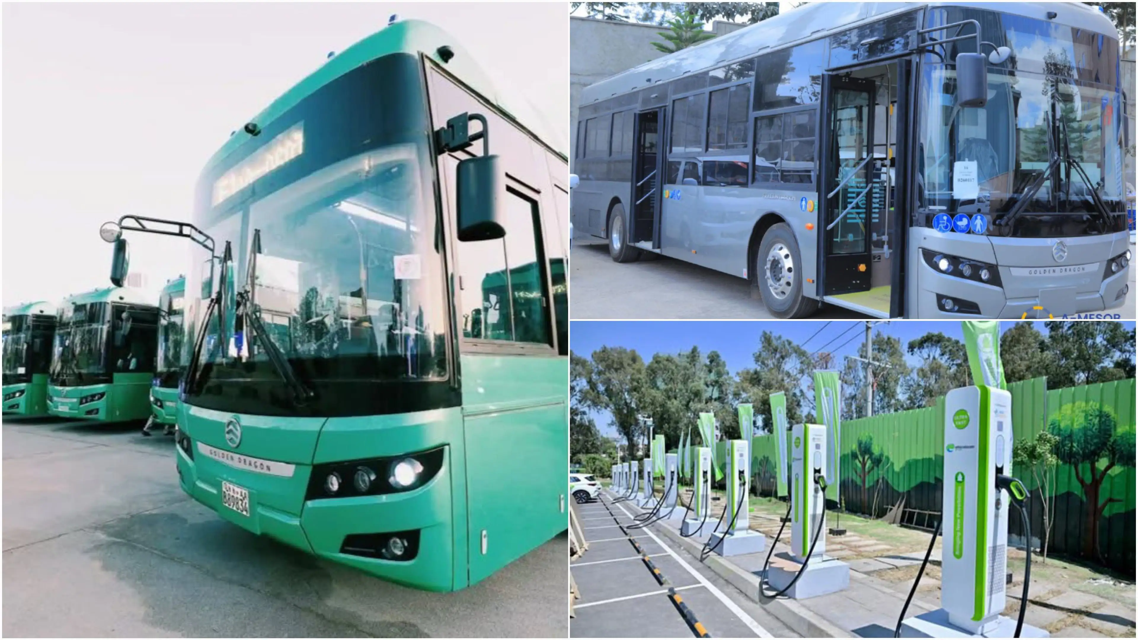 The Importance of Sleep: Tips for Better Rest and Recovery