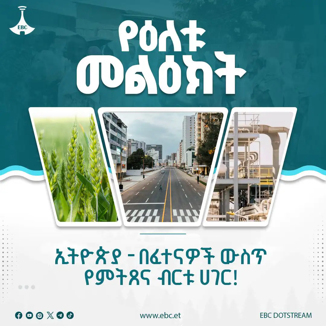 The Importance of Sleep: Tips for Better Rest and Recovery