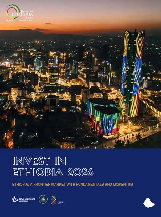 The Importance of Sleep: Tips for Better Rest and Recovery