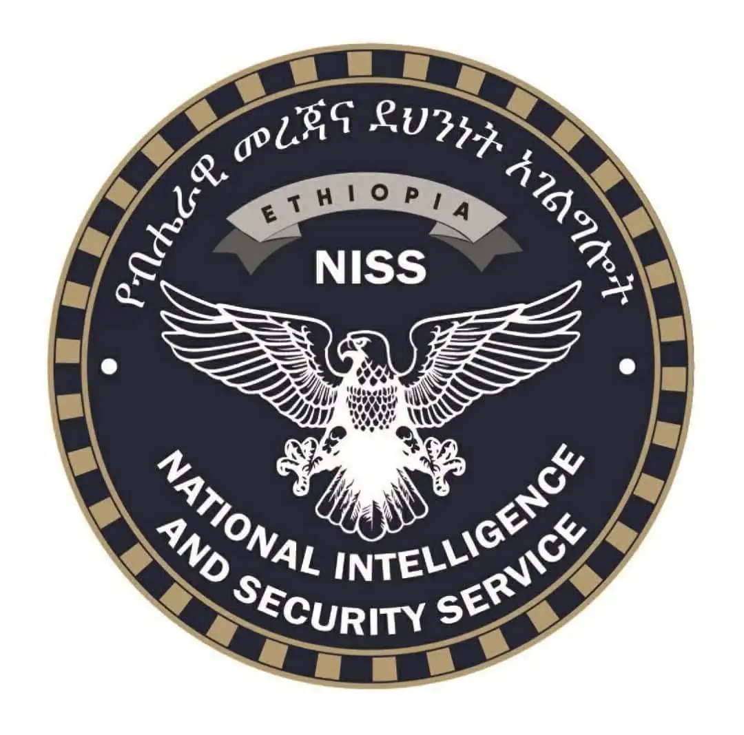 The Importance of Sleep: Tips for Better Rest and Recovery