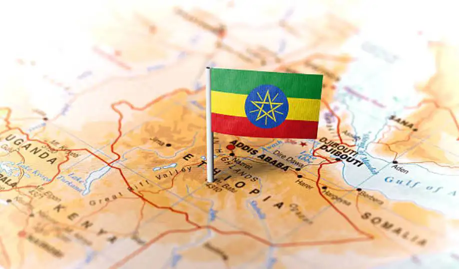 The Importance of Sleep: Tips for Better Rest and Recovery