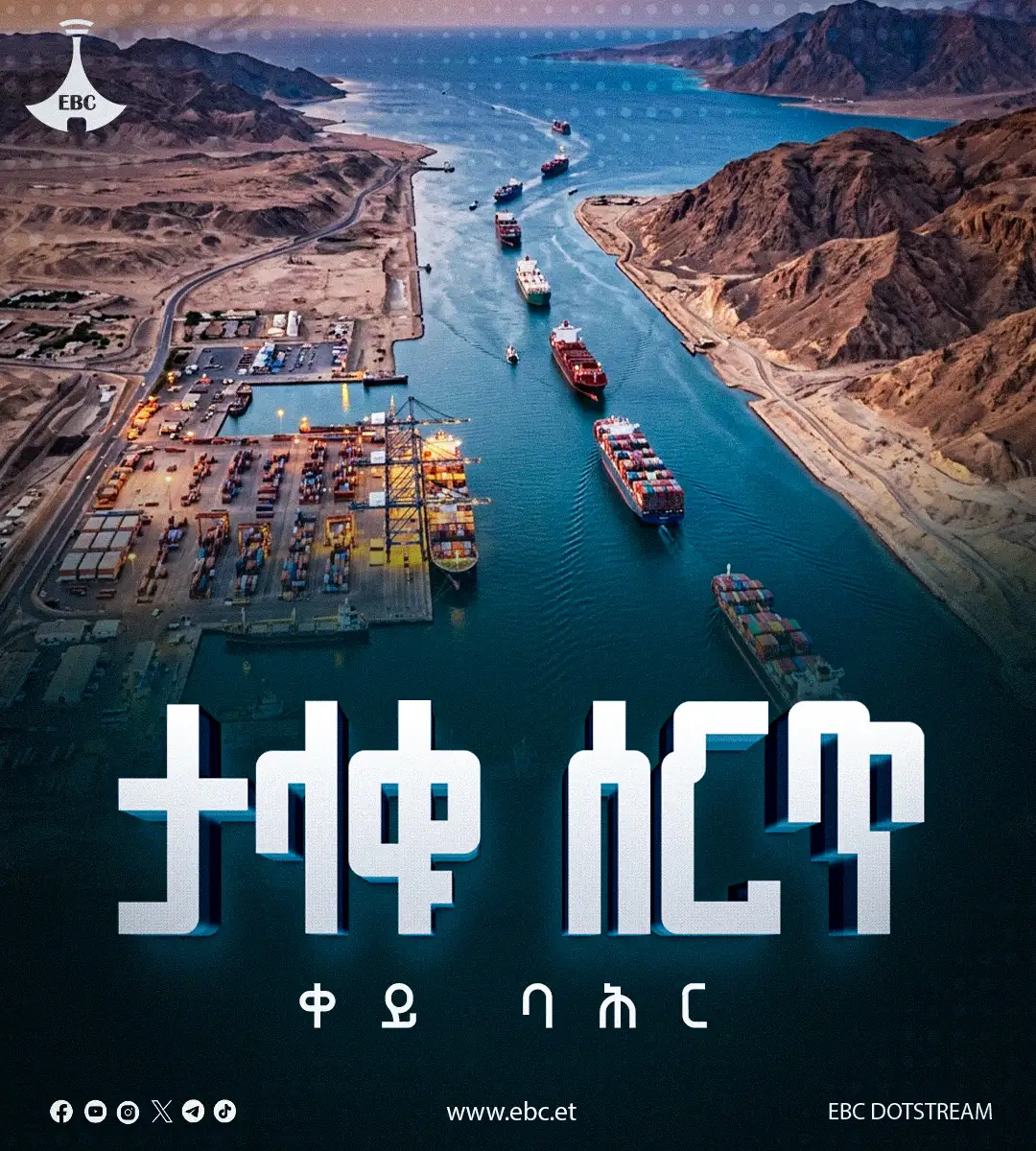 The Importance of Sleep: Tips for Better Rest and Recovery