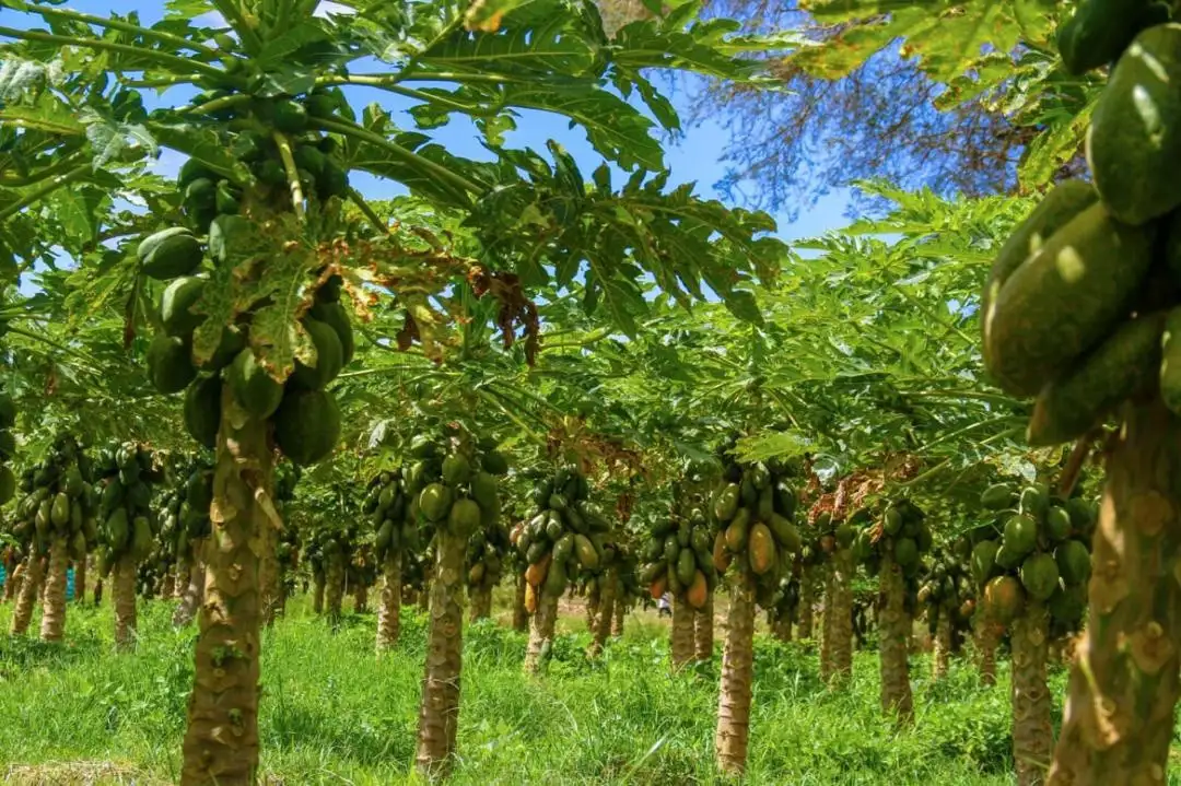 The Importance of Sleep: Tips for Better Rest and Recovery