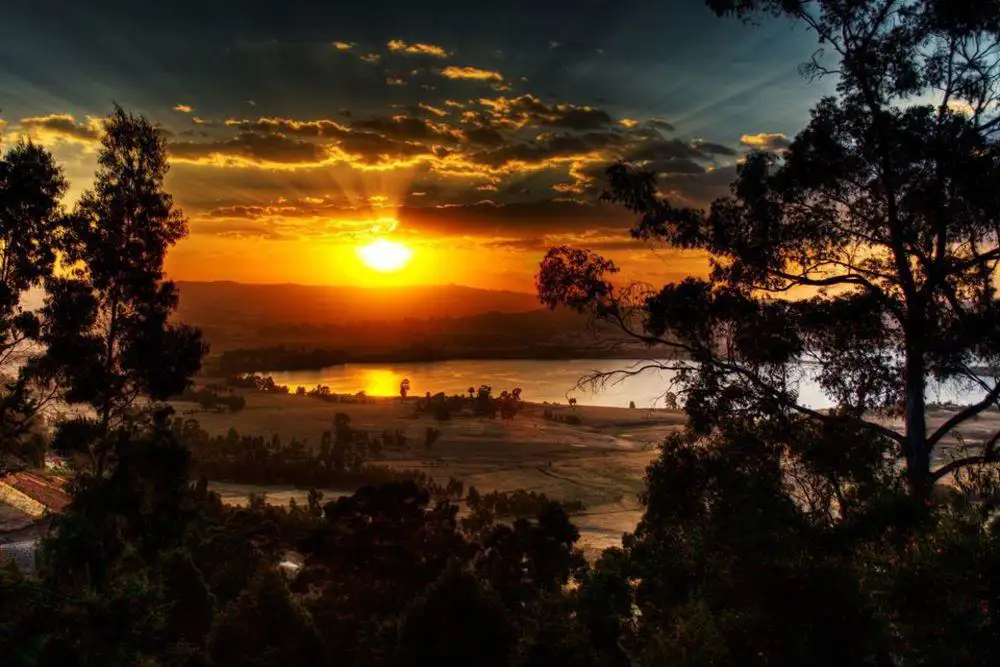 The Importance of Sleep: Tips for Better Rest and Recovery