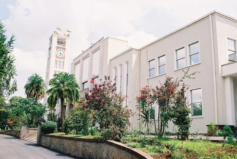 The Importance of Sleep: Tips for Better Rest and Recovery