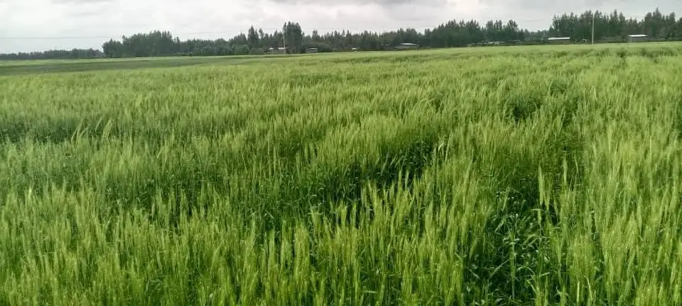 The Importance of Sleep: Tips for Better Rest and Recovery