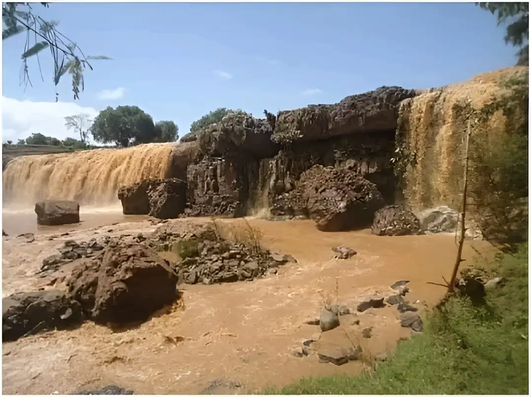 The Importance of Sleep: Tips for Better Rest and Recovery