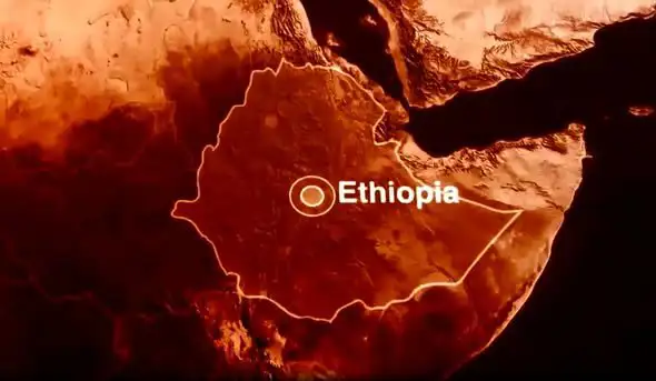 The Importance of Sleep: Tips for Better Rest and Recovery