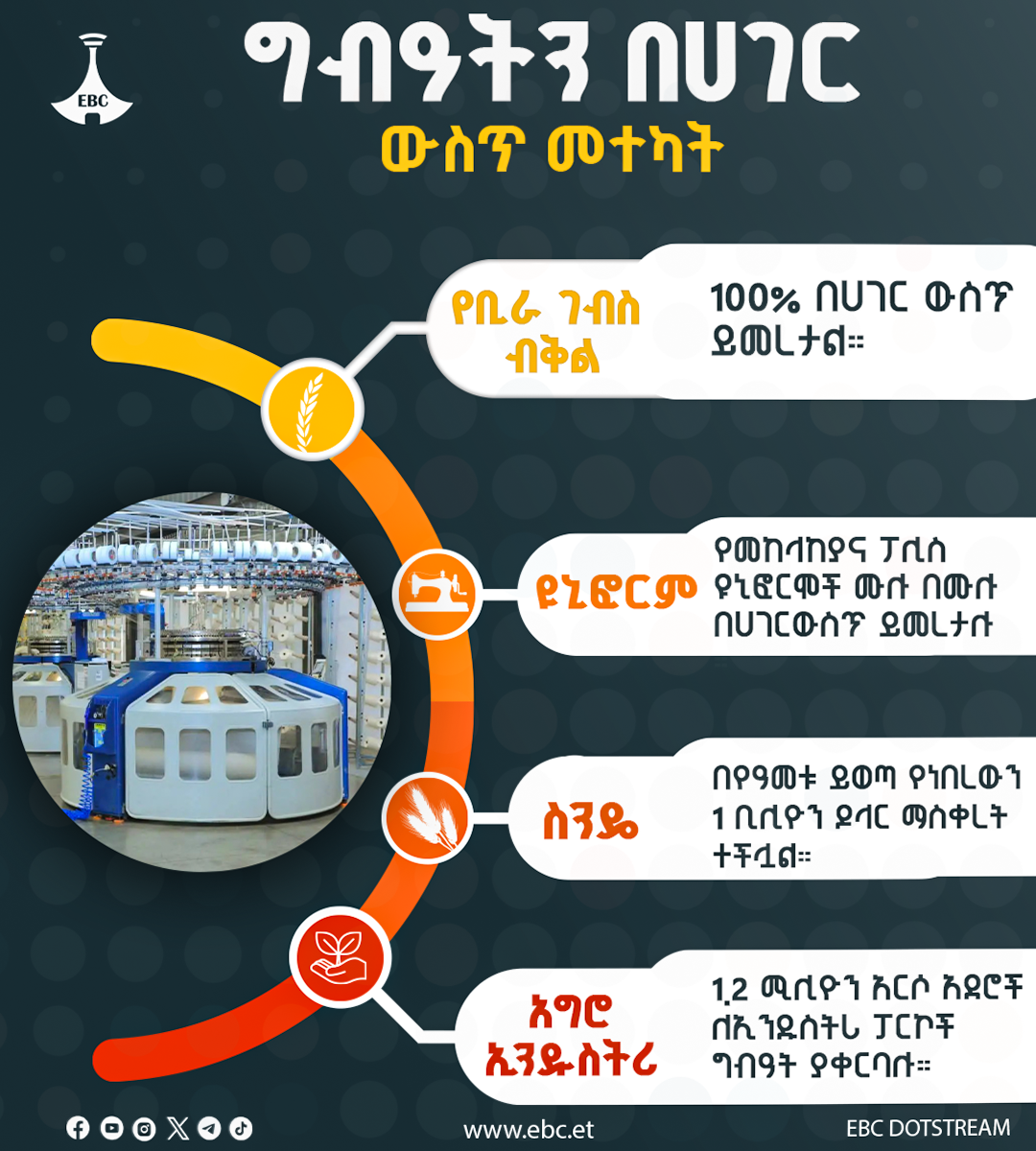 ግብብዓትን በሀገር ውስጥ መተካት 