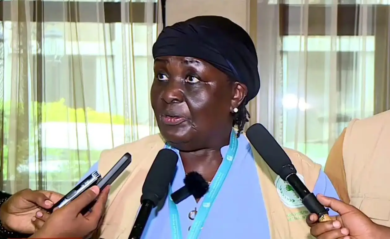 No operational irregularities witnessed in 7th Ethiopian general elections - IGAD Election Observation Mission