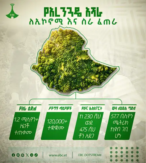 የአረንጓዴ ዐሻራ ለኢኮኖሚ እና ሥራ ፈጠራ