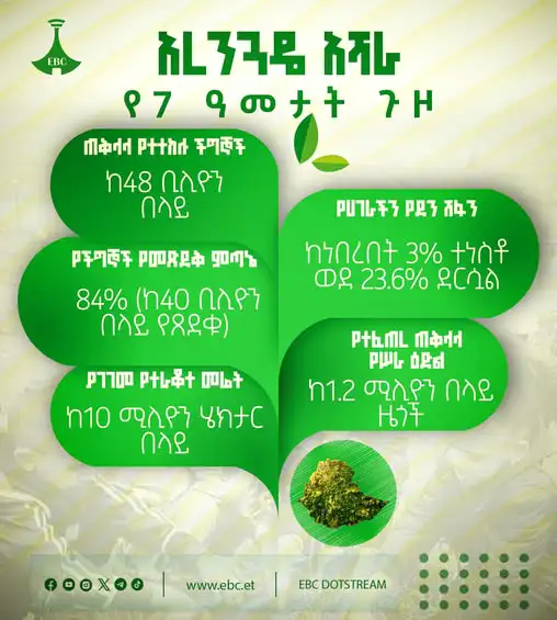 አረንጓዴ አሻራ የ7 ዓመታት ጉዞ