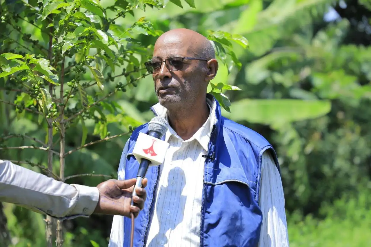 "ችግኝ እንደ ልጅ መንከባከብ ይፈልጋል" ፦ የጌዴኦው አባት