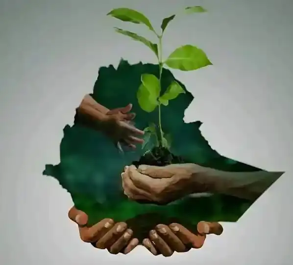 ከ56 ቢሊዮን በላይ ችግኞች:  ለአዲስ የዓለም ታሪክ
