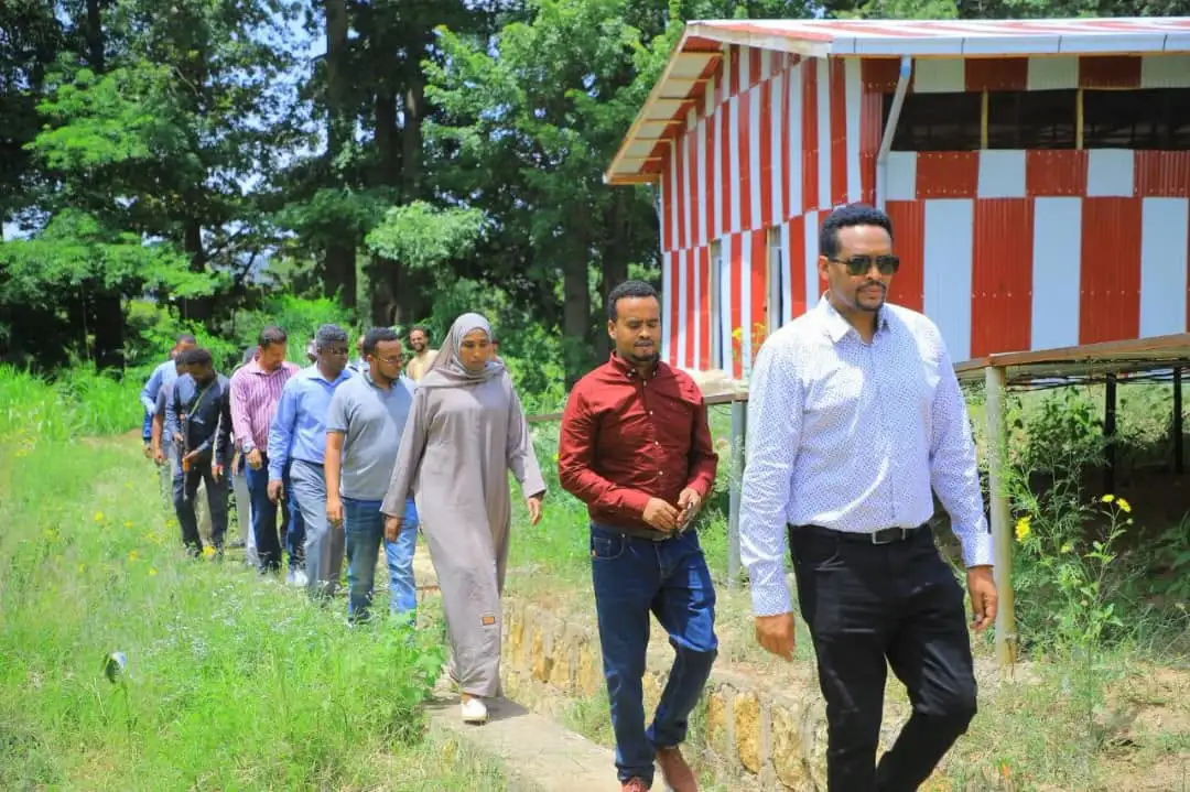 የአረንጓዴ ዐሻራን ከወንዝ ዳር ልማት ጋር በማስተሳሰር ለትውልድ የሚተርፍ ሥራ እየተከናወነ ነው፡- ርዕሰ መስተዳድር ኦርዲን በድሪ