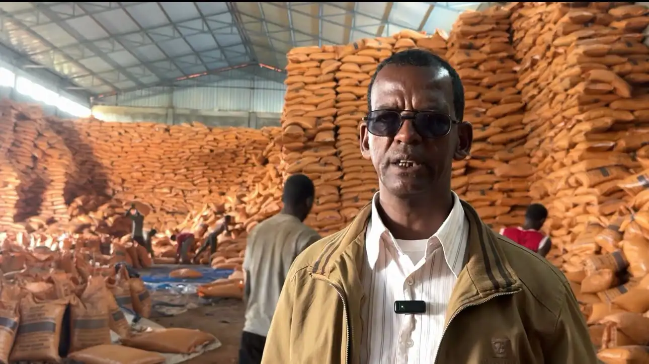 በቤኒሻንጉል ጉሙዝ ክልል ለአርሶ አደሮች የአፈር ማዳበሪያና የምርጥ ዘር ሥርጭት አየተከናወነ ነው