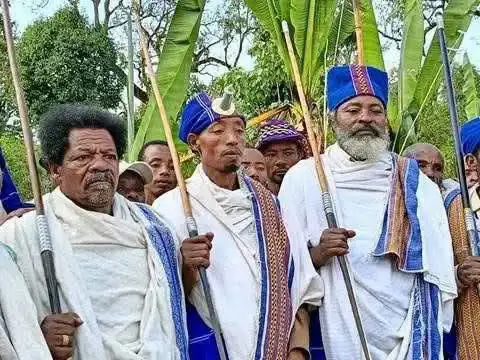 'ባቦ' የጌዴኦ ባህላዊ ደን አጠባበቅ ሥርዓት