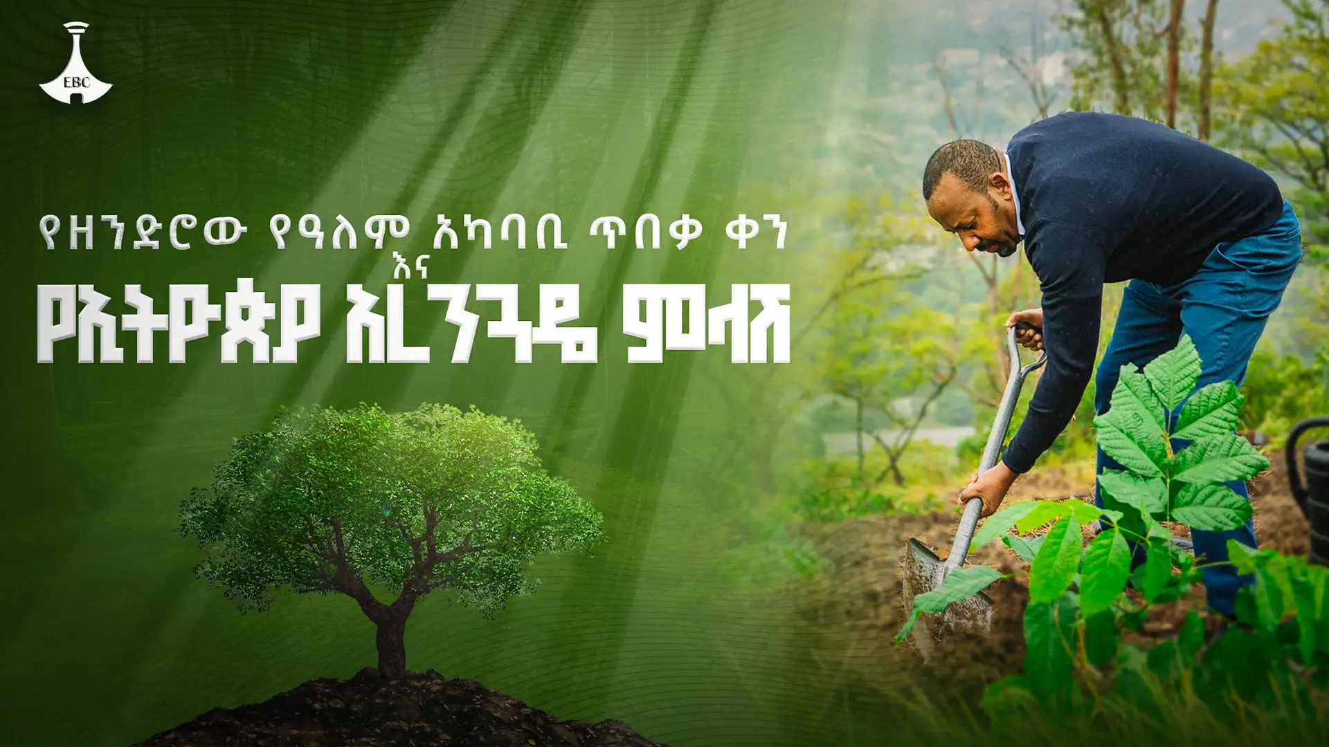 የዘንድሮው የዓለም አካባቢ ጥበቃ ቀን እና የኢትዮጵያ አረንጓዴ ምላሽ 