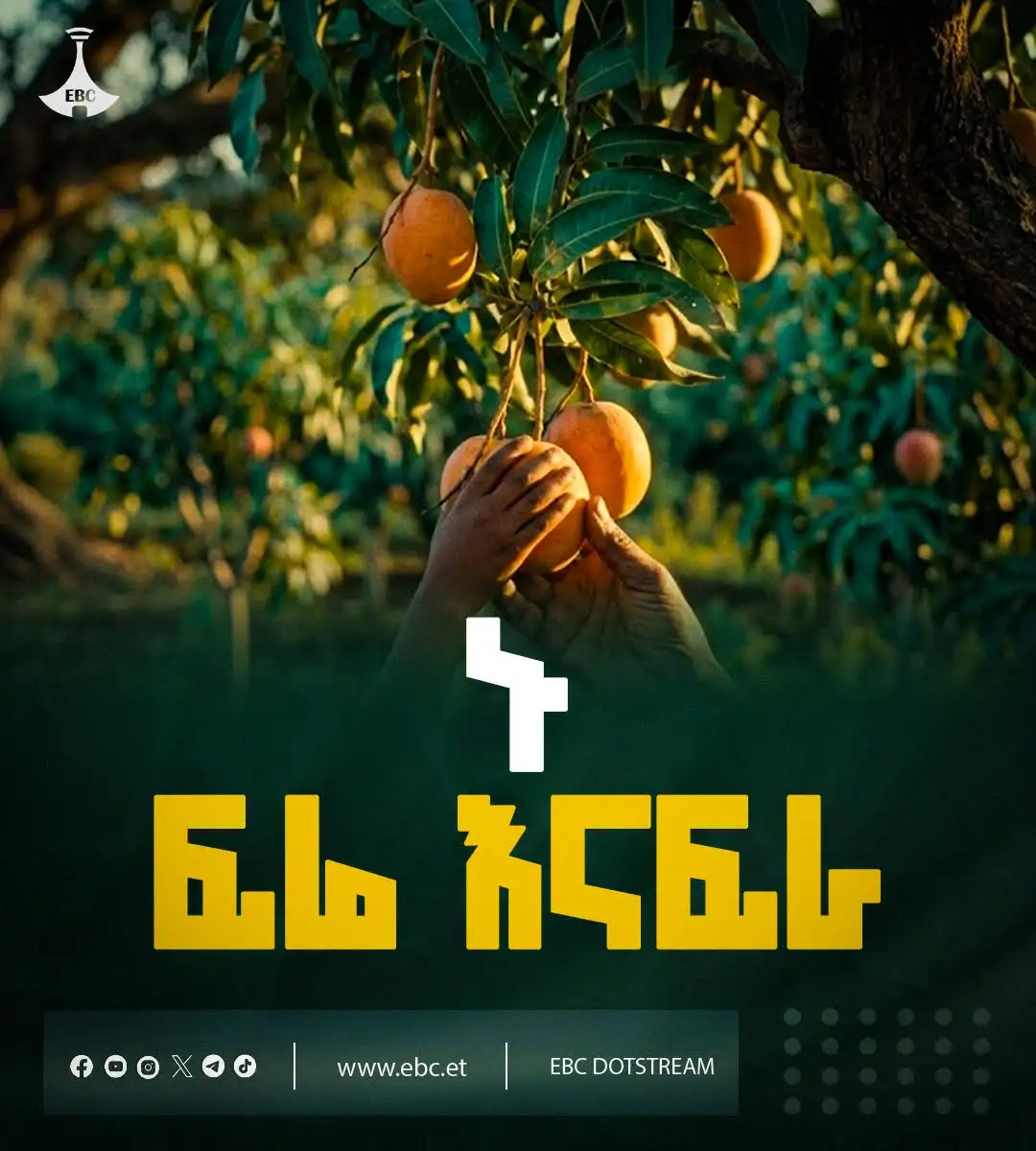 ኑ ፍሬ እናፍራ