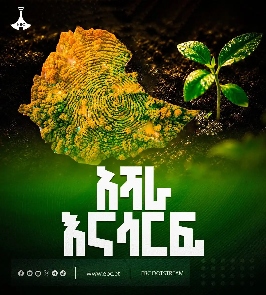 አሻራ እናሳርፍ