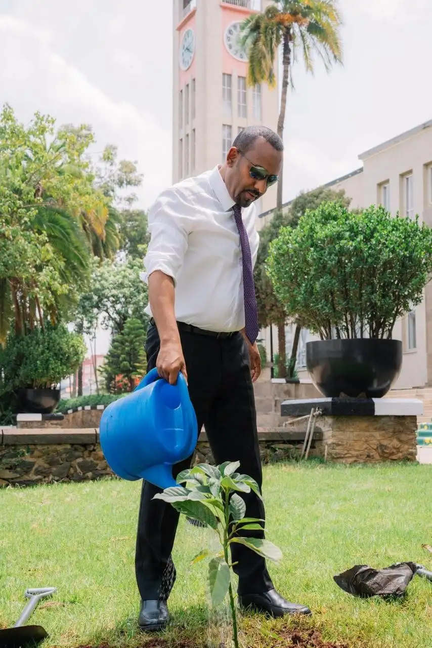 የውኃ ዋስትና እና የንፅህና አምድ፡ የኢትዮጵያ የተቀናጀ ሀገር በቀል ስትራቴጂ