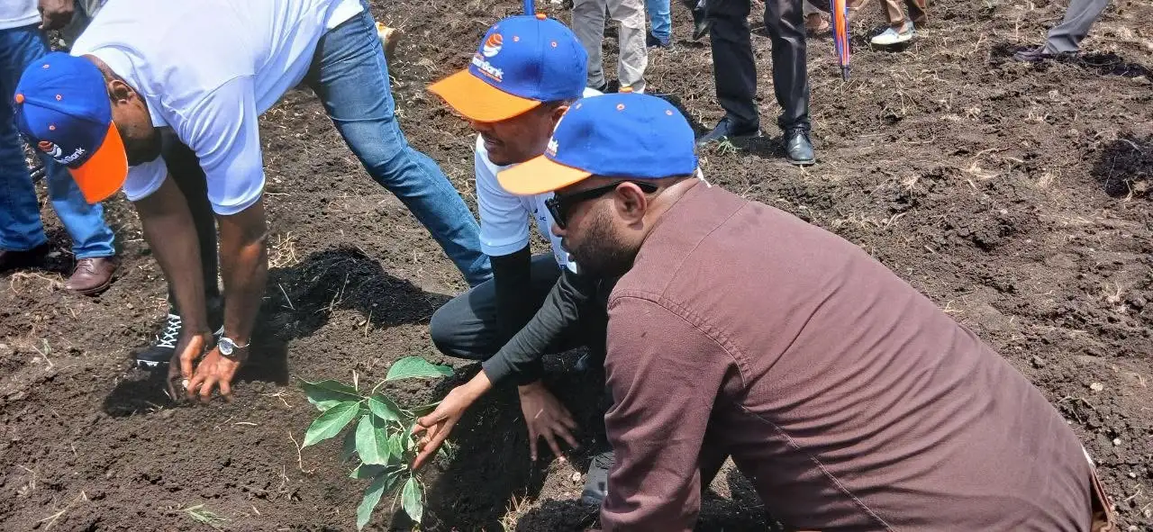 የአዋሽ ባንክ 8ኛውን ዙር የአረንጓዴ ዐሻራ መርሐ ግብር አከናወነ