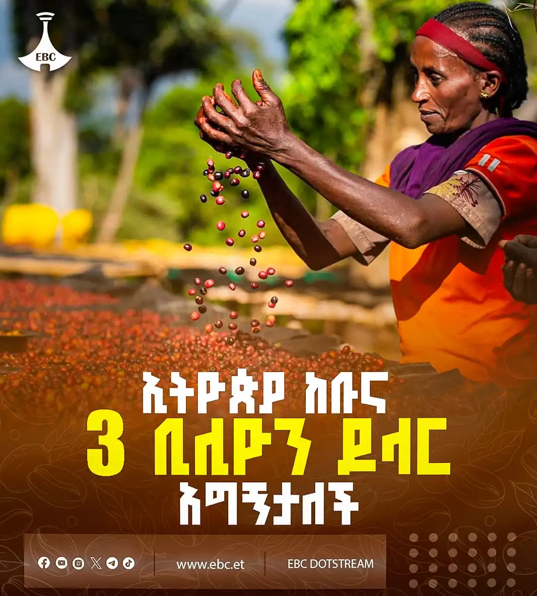 ታሪካዊ ስኬት፦ የኢትዮጵያ ወርቃማው ቡና 3 ቢሊየን ዶላር አስገኝቷል